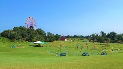 3/2 東京ドイツ村