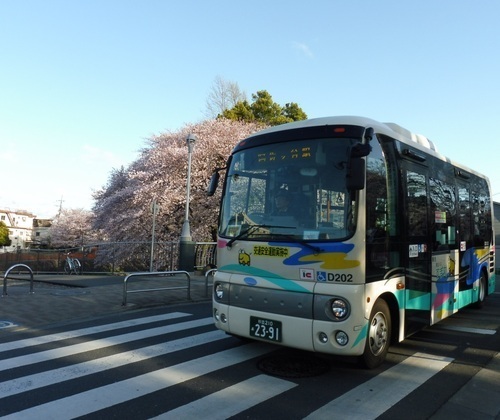 【リフォームコラム】すぎ丸